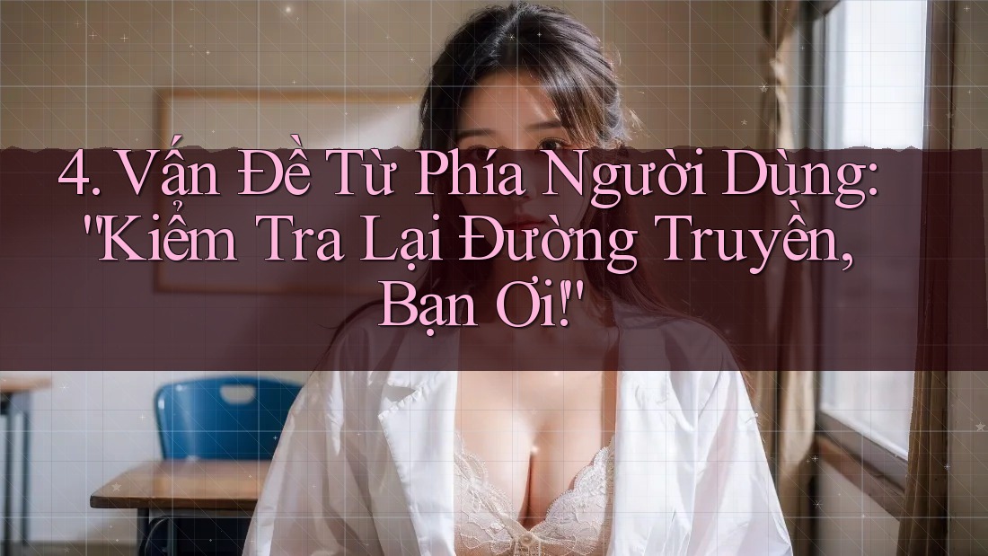 4. Vấn Đề Từ Phía Người Dùng: “Kiểm Tra Lại Đường Truyền, Bạn Ơi!”