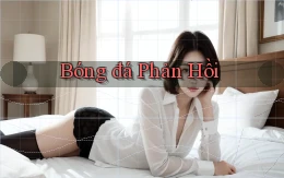 Bóng đá Phản hồi