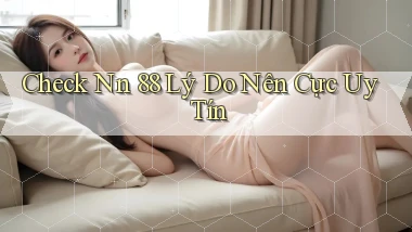 check nn 88 lý do nên cực uy tín