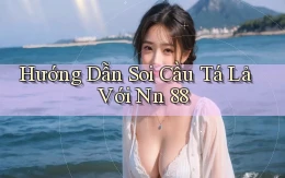 hướng dẫn soi cầu tá lả với nn 88