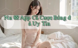 nn 88 app cá cược bóng đá uy tín