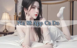 nn 88 app cá độ
