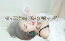 nn 88 app cá độ bóng đá