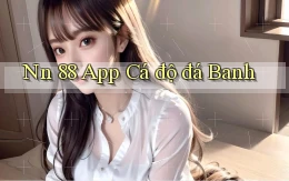 nn 88 app cá độ đá banh
