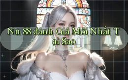 nn 88 đánh giá mới nhất tại sao