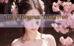 nn 88 telegram trong nước