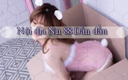 nội địa nn 88 dẫn đầu