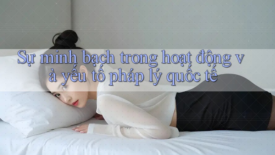 Sự minh bạch trong hoạt động và yếu tố pháp lý quốc tế