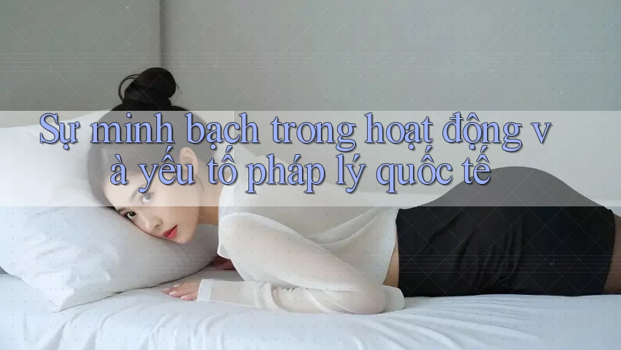 Sự minh bạch trong hoạt động và yếu tố pháp lý quốc tế