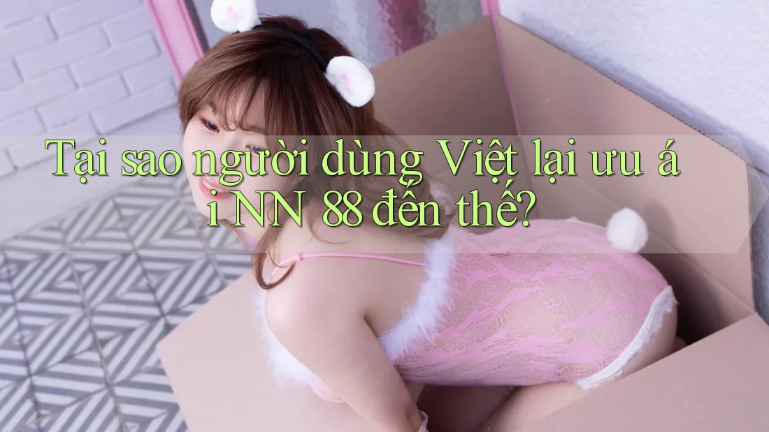 Tại sao người dùng Việt lại ưu ái NN 88 đến thế?
