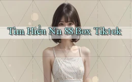 tìm hiểu nn 88 box tiktok